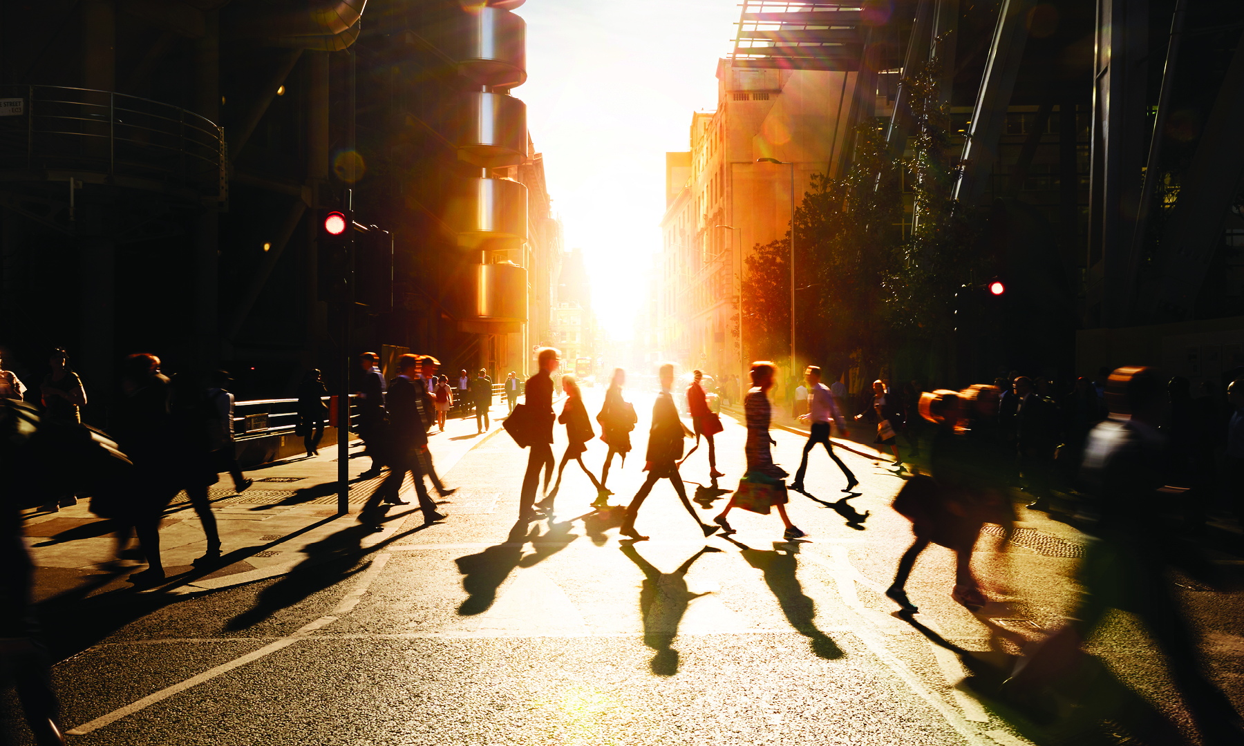 2021 Midyear Outlook